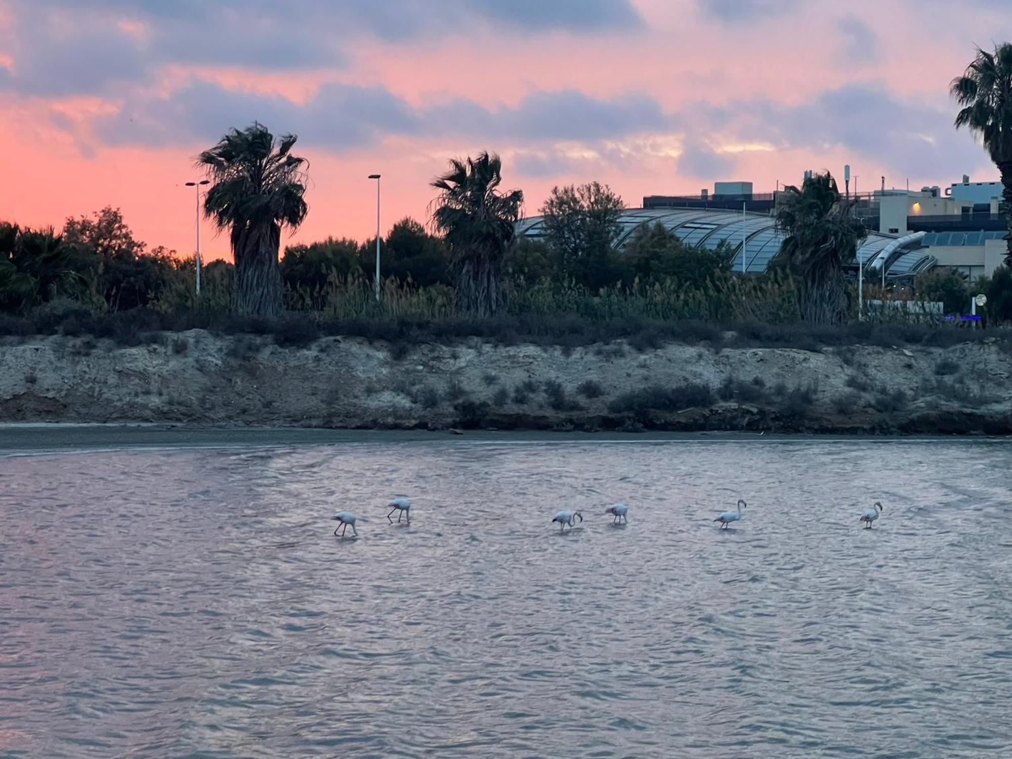 Mar Menor Paradise By Los Pinos Holidays San Pedro del Pinatar Εξωτερικό φωτογραφία