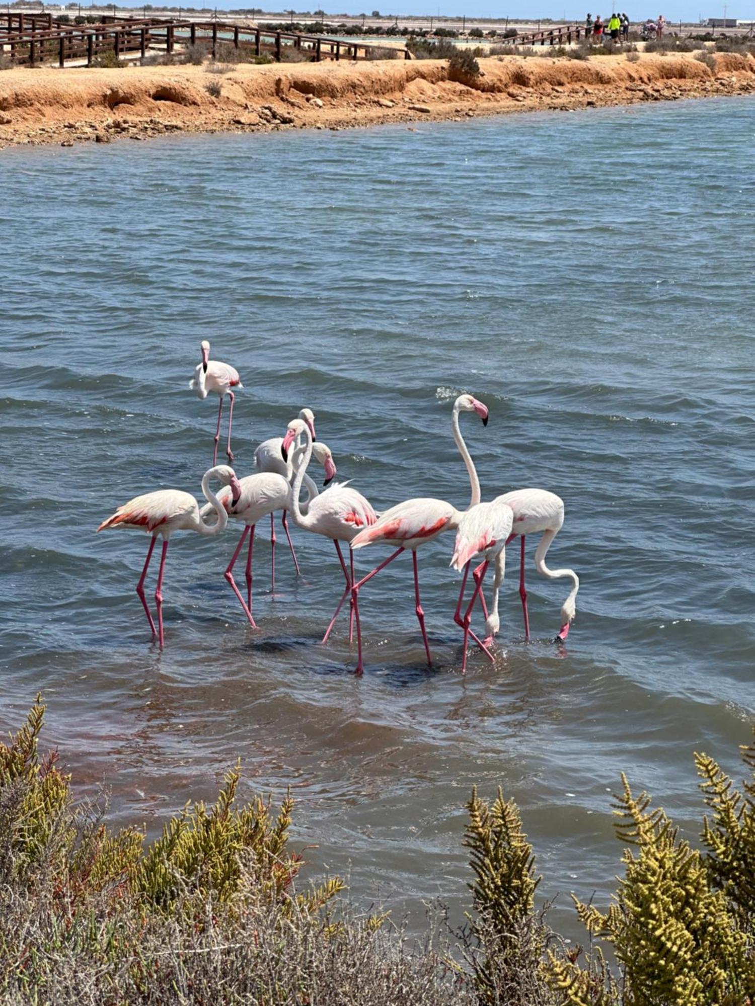 Mar Menor Paradise By Los Pinos Holidays San Pedro del Pinatar Εξωτερικό φωτογραφία